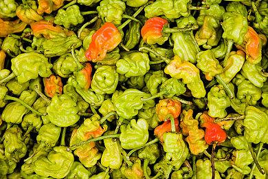 《浣熊硬探》下周登陆主机